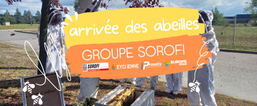 Arrivée des abeilles chez Sorofi